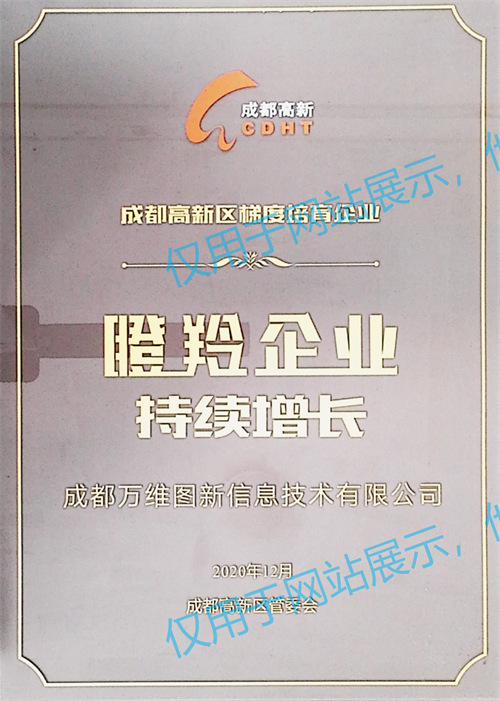 05 瞪羚企业持续增长（2020）