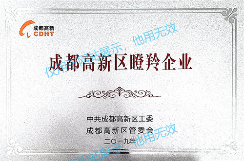 04 成都高新区瞪羚企业（2019）