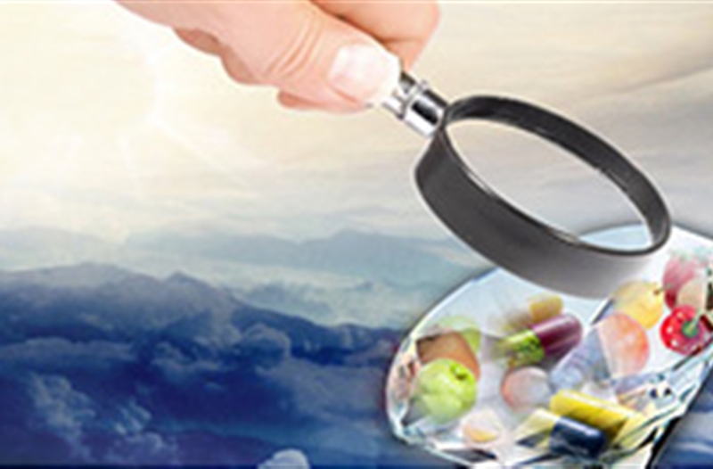 食药监业务系统解决方案