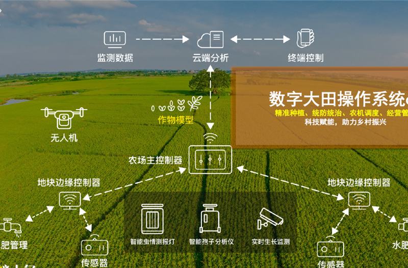 以“5G数智化” 为主题，打造中法农业科技种苗繁育产业发展平台